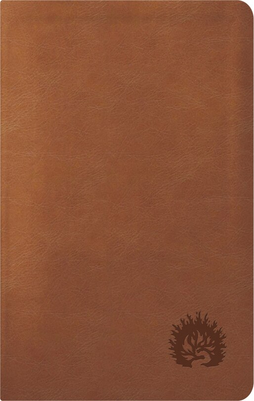 Front cover_ESV Reformation Study Bible, Condensed Edition - Light Brown, Leather-Like