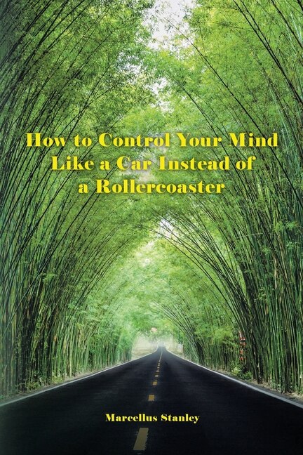 Couverture_How to Control Your Mind Like a Car Instead of a Rollercoaster