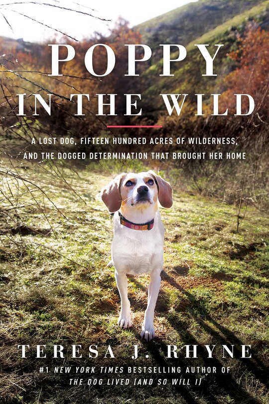 Front cover_Poppy In The Wild