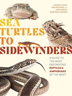 Sea Turtles To Sidewinders: A Guide To The Most Fascinating Reptiles And Amphibians Of The West