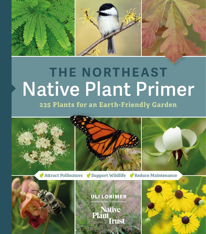 Front cover_The Northeast Native Plant Primer