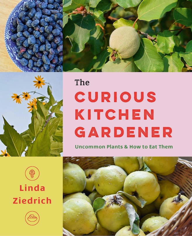 Front cover_The Curious Kitchen Gardener