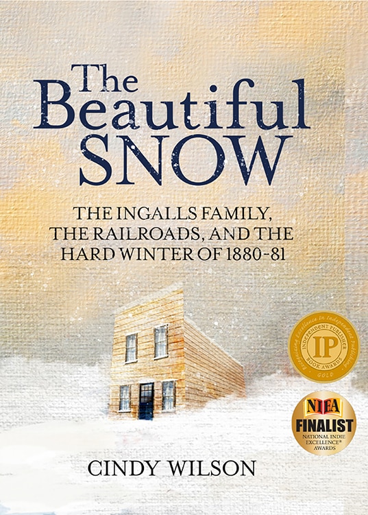 Couverture_The Beautiful Snow