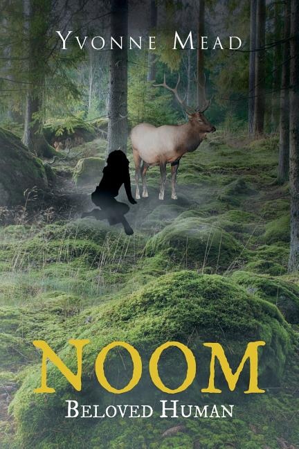 Couverture_NOOM