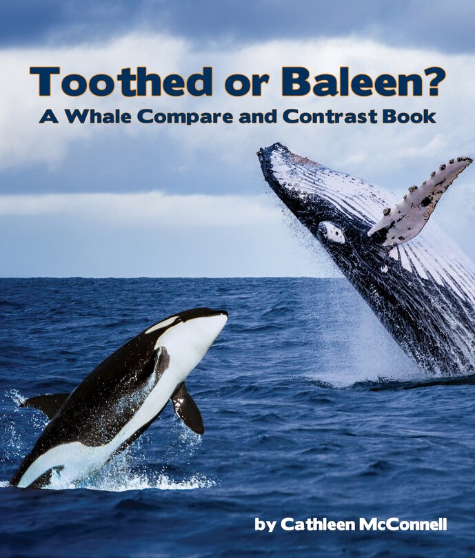 Front cover_Toothed or Baleen? a Whale Compare and Contrast Book