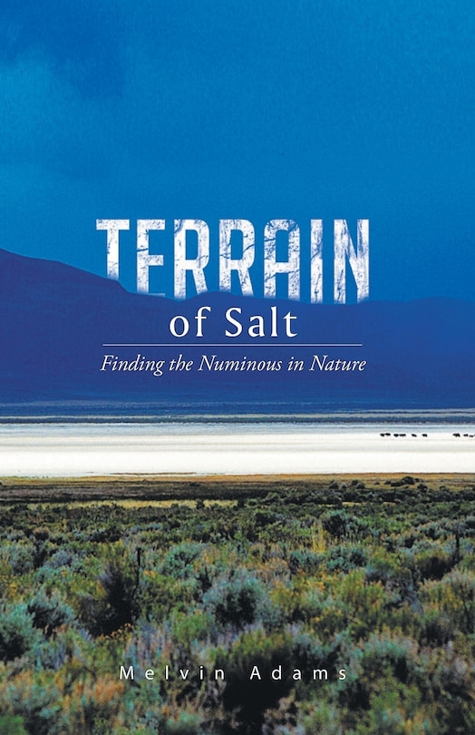 Couverture_Terrain of Salt
