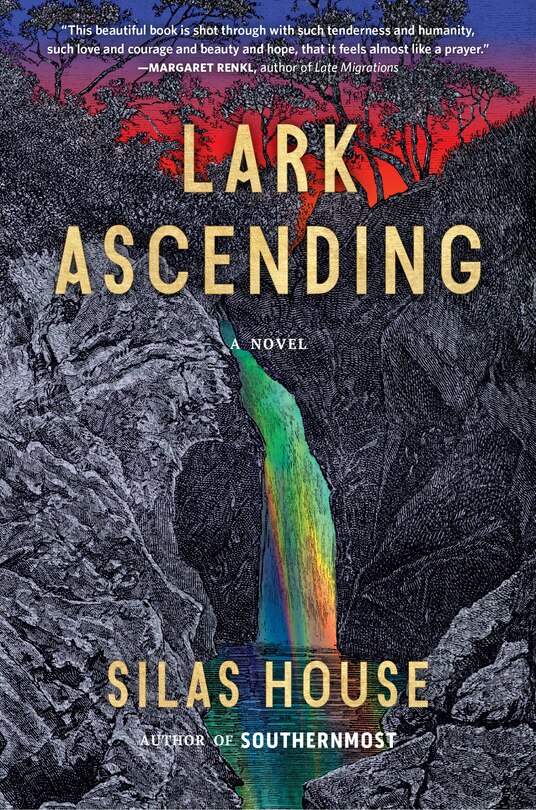 Couverture_Lark Ascending