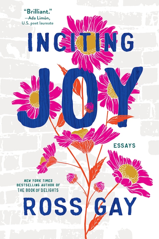Front cover_Inciting Joy