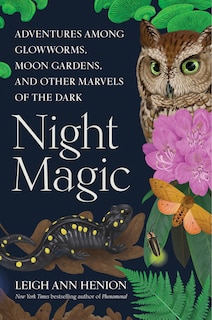 Front cover_Night Magic