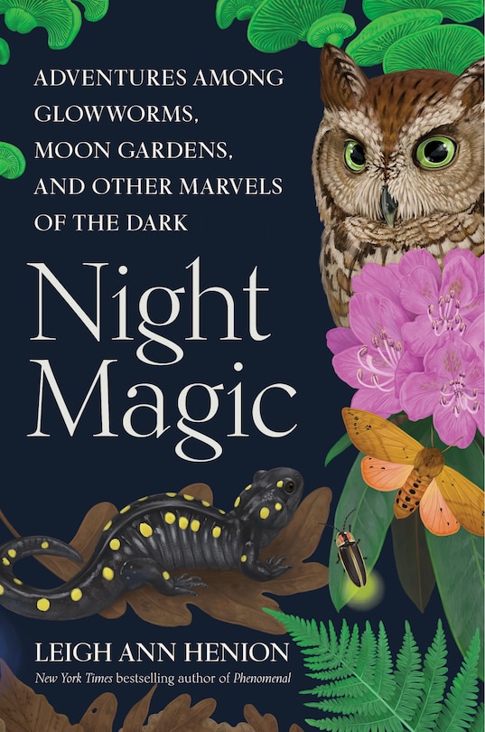 Front cover_Night Magic