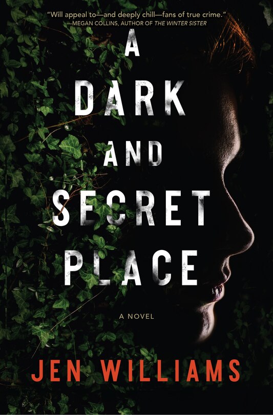 Couverture_A Dark and Secret Place
