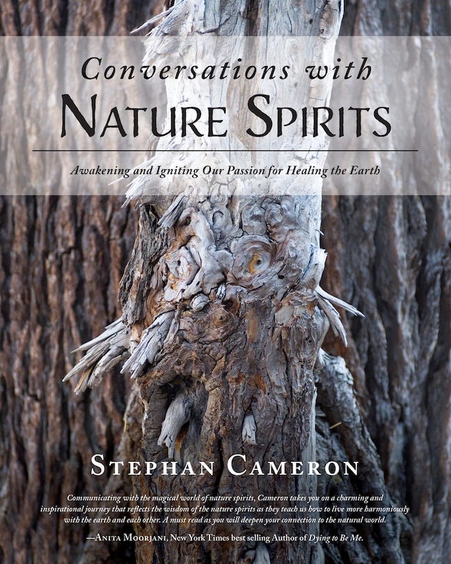Couverture_Conversations With Nature Spirits