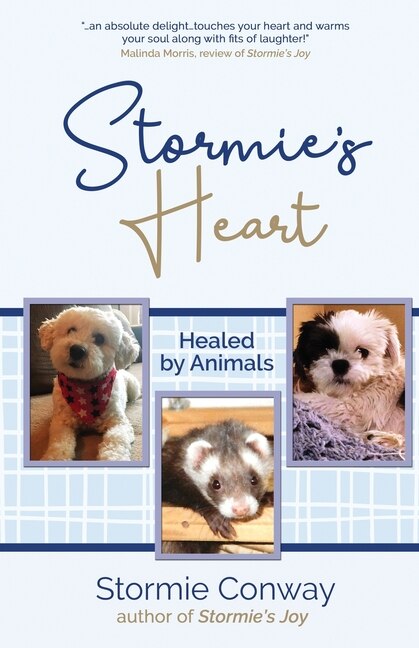Couverture_Stormie's Heart