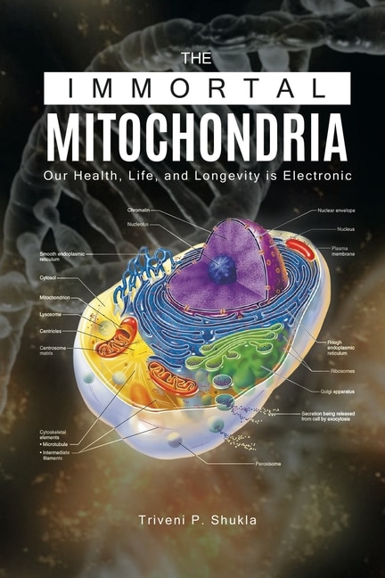 The Immortal Mitochondria: Our Health, Life, And Longevity Is Electronic