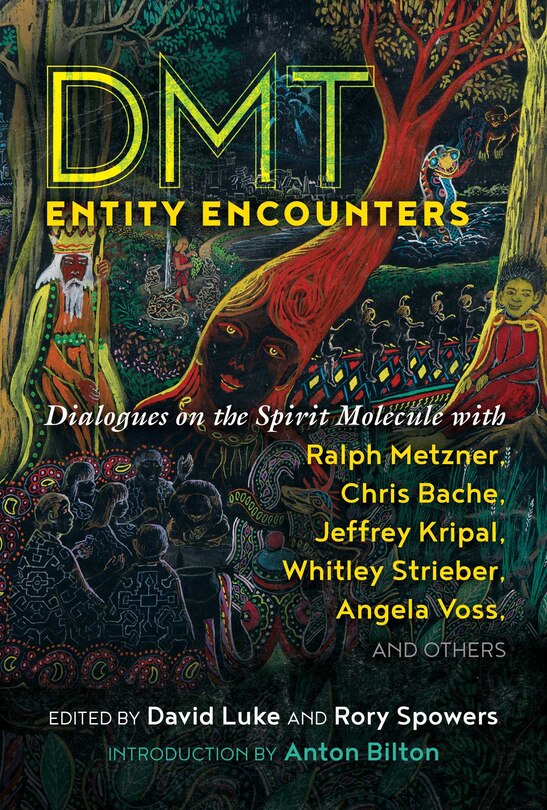 Couverture_DMT Entity Encounters