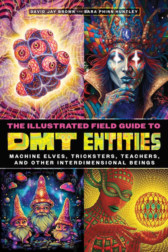 Front cover_The Illustrated Field Guide to DMT Entities
