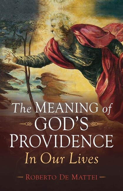 Couverture_The Meaning of God's Providence