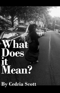 Couverture_What Does it Mean?