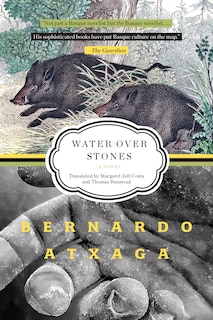 Water Over Stones: A Novel