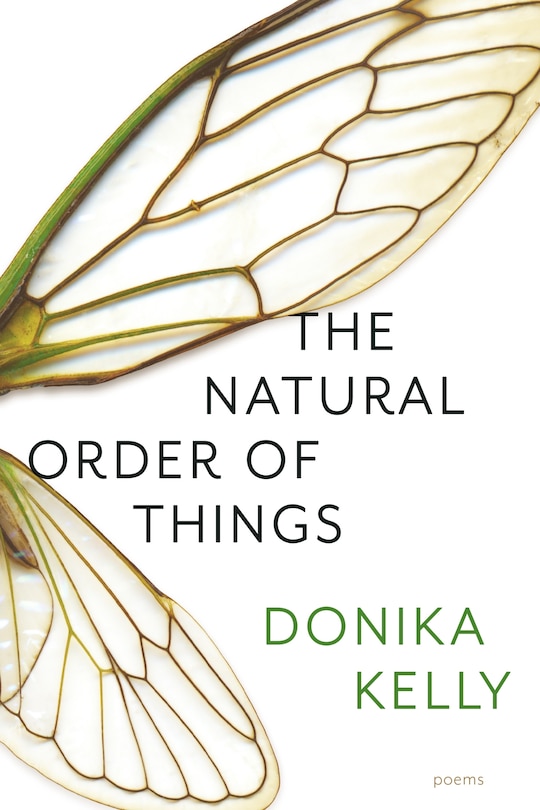 Couverture_The Natural Order of Things