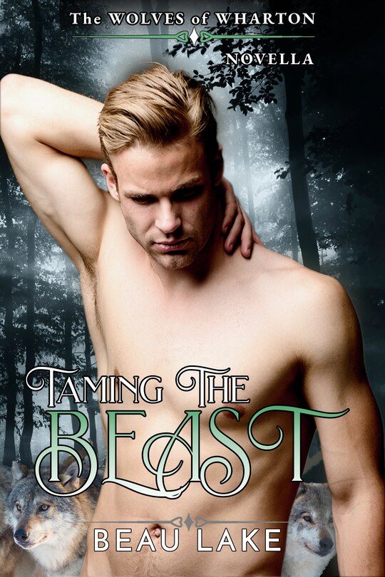 Front cover_Taming The Beast