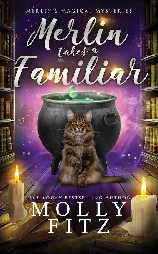 Front cover_Merlin Takes a Familiar