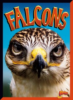 Front cover_Falcons