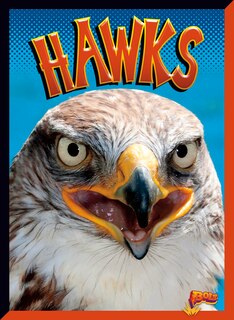 Couverture_Hawks