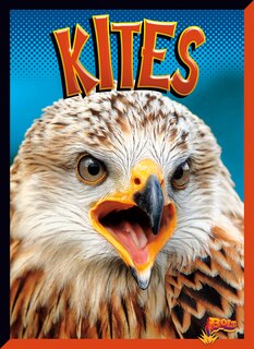 Front cover_Kites