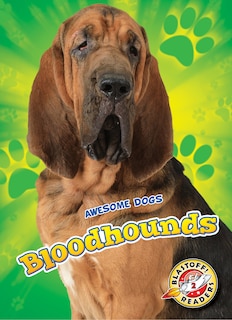 Front cover_Bloodhounds
