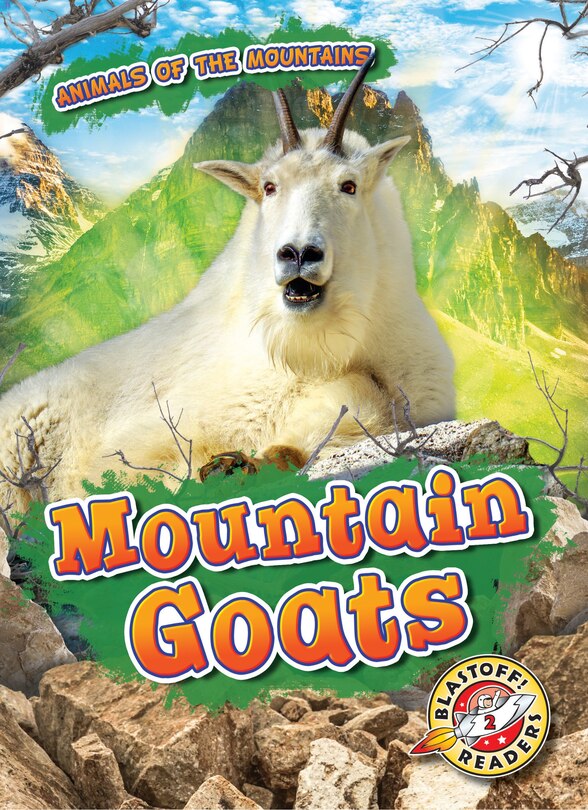 Couverture_Mountain Goats