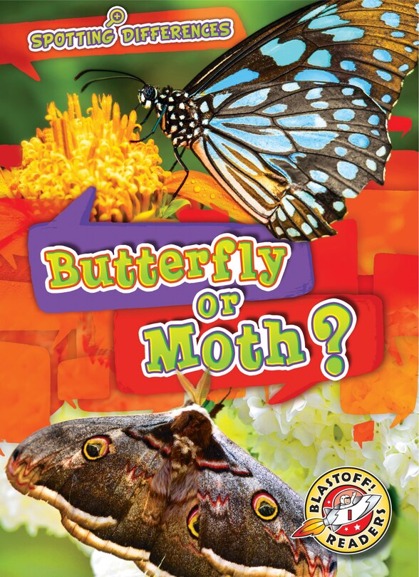 Couverture_Butterfly or Moth?