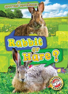 Couverture_Rabbit or Hare?