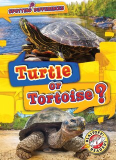 Couverture_Turtle or Tortoise?