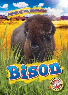Couverture_Bison