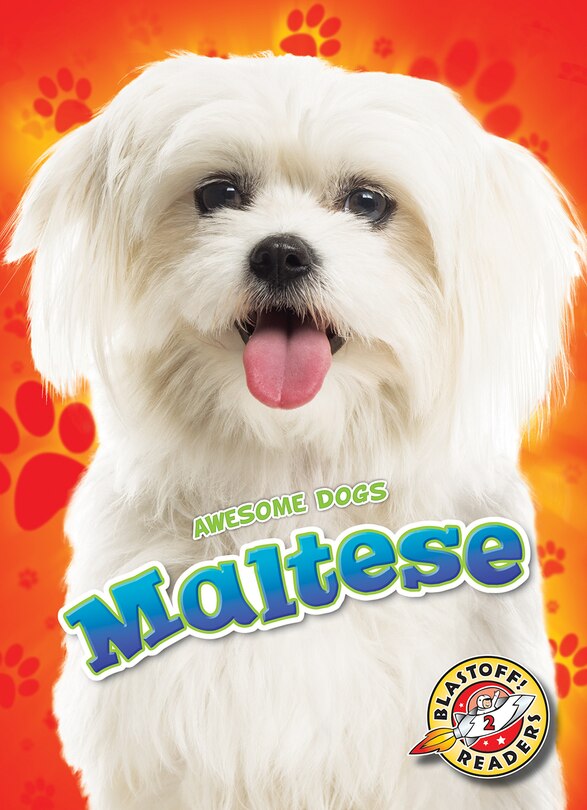 Front cover_Maltese