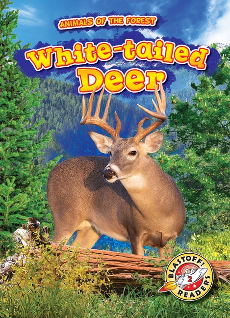 White-Tailed Deer