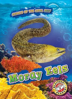 Front cover_Moray Eels