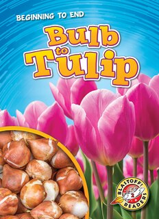 Front cover_Bulb to Tulip