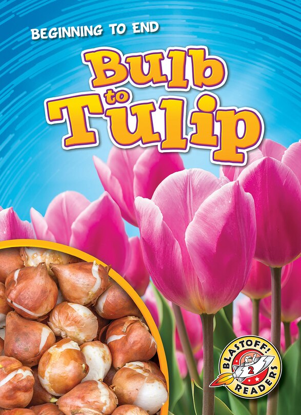 Front cover_Bulb to Tulip