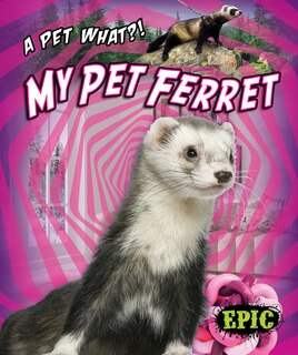 Couverture_My Pet Ferret