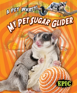 Front cover_My Pet Sugar Glider