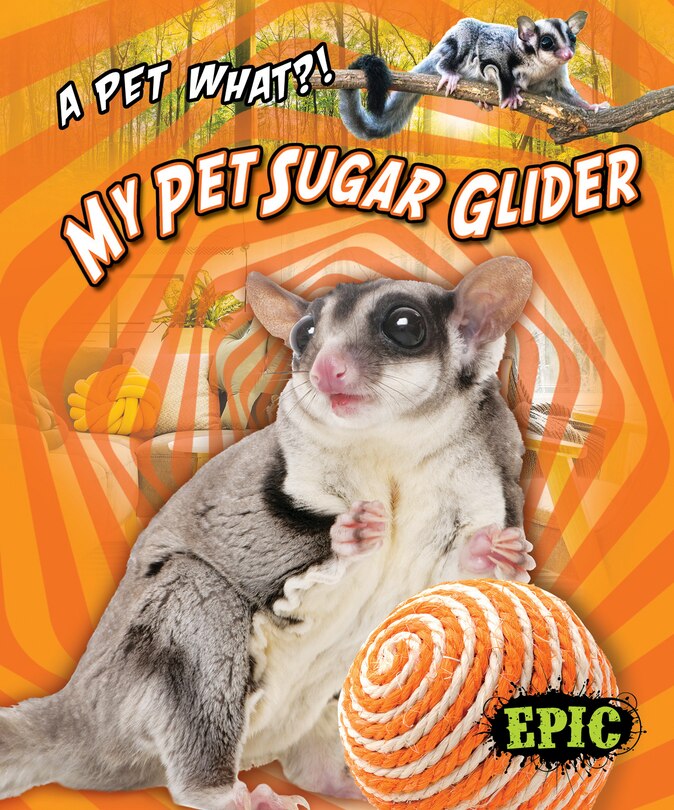 Front cover_My Pet Sugar Glider