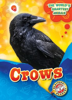 Couverture_Crows