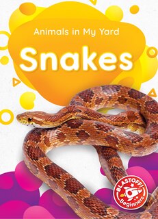 Couverture_Snakes