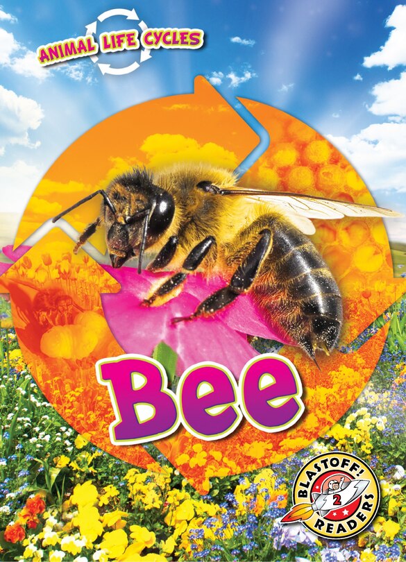 Couverture_Animal Life Cycles: Bee