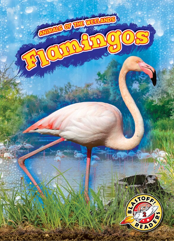 Couverture_Flamingos