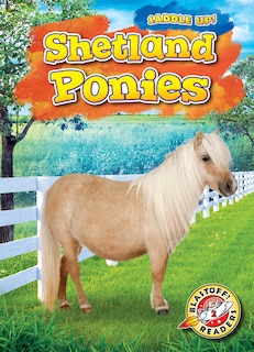 Couverture_Shetland Ponies