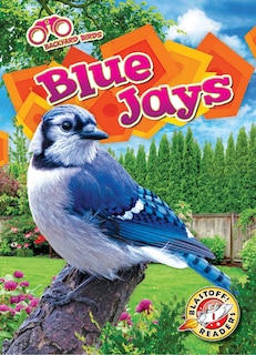 Couverture_Blue Jays