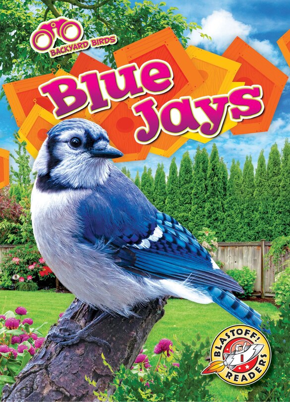 Couverture_Blue Jays